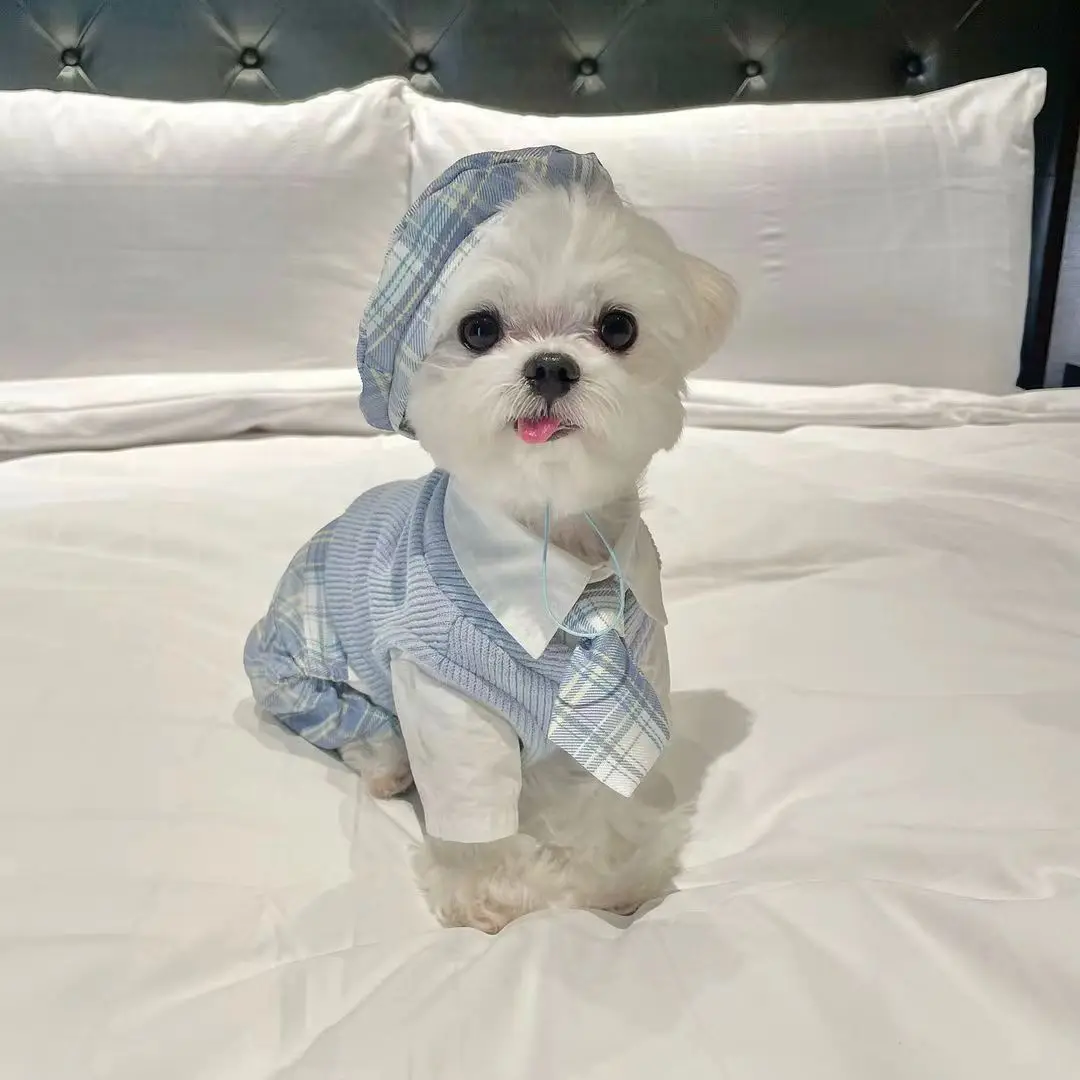 INS New Campus Pet Uniform Jk Suit Dog Jumpsuit Maltese Dog Bichon Pomeranian Plaid Pants Kawaii Clothes Dog Clothes Designer