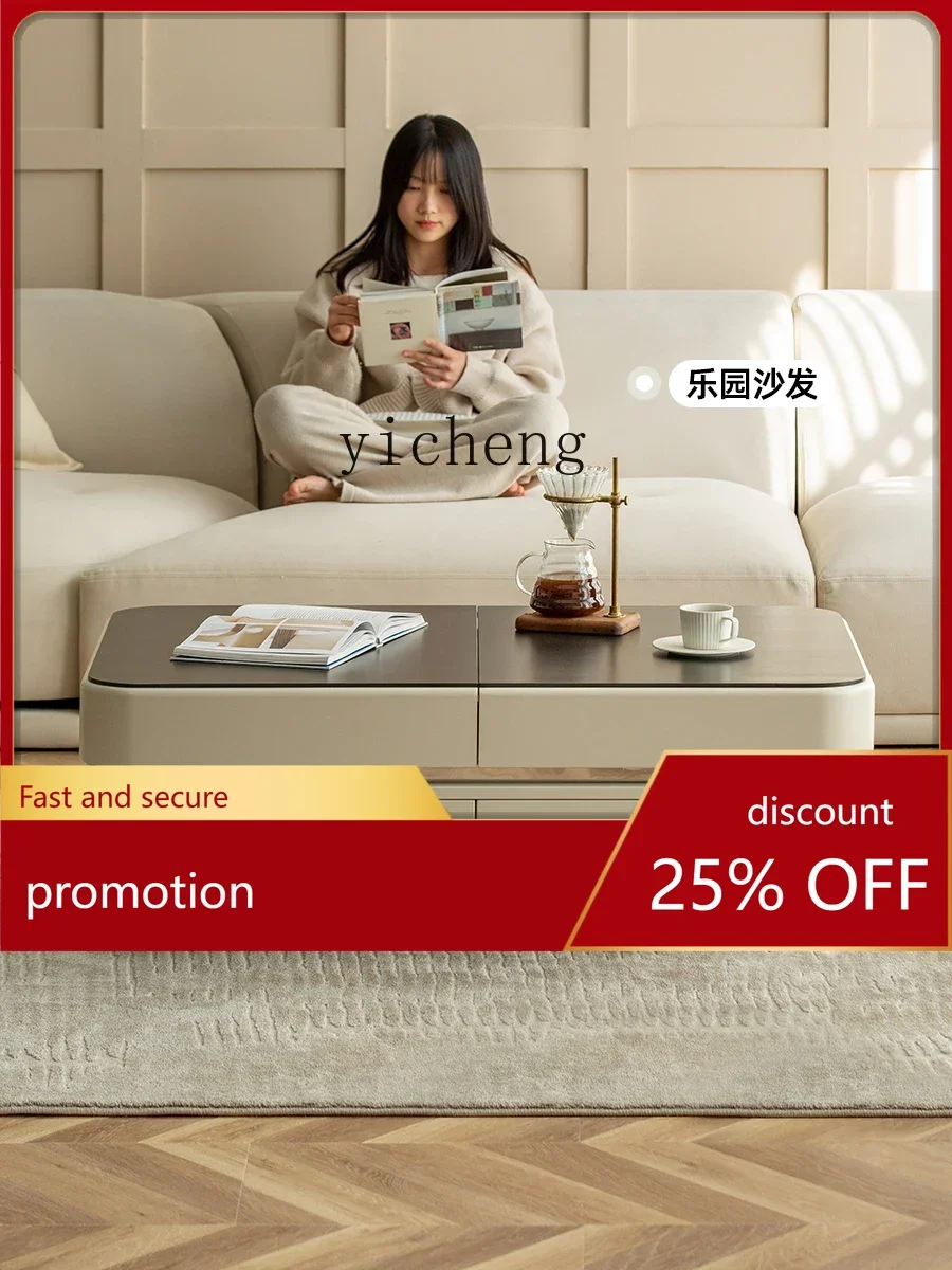 

HXL Storage Stone Plate Coffee Table Living Room Simple Designer Modern Light Luxury Household Industrial Style Tea Table