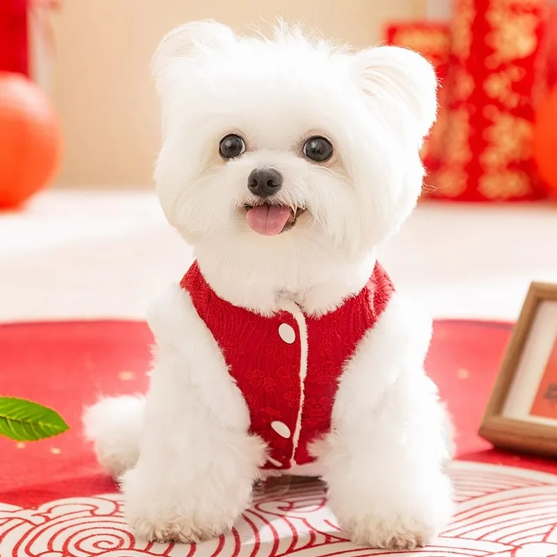 Autumn And Winter Dog New Year Plate Buckle Chinese Small Dog New Year Clothes Happy Cat Cotton-padded Vest Pet Tang Suit