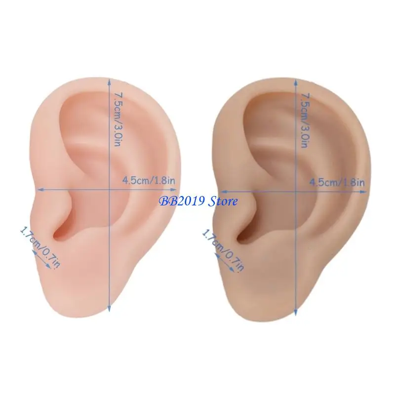 Q0KB Anatomical Silicone Ear Replicas For Piercer Demonstration And Art Design