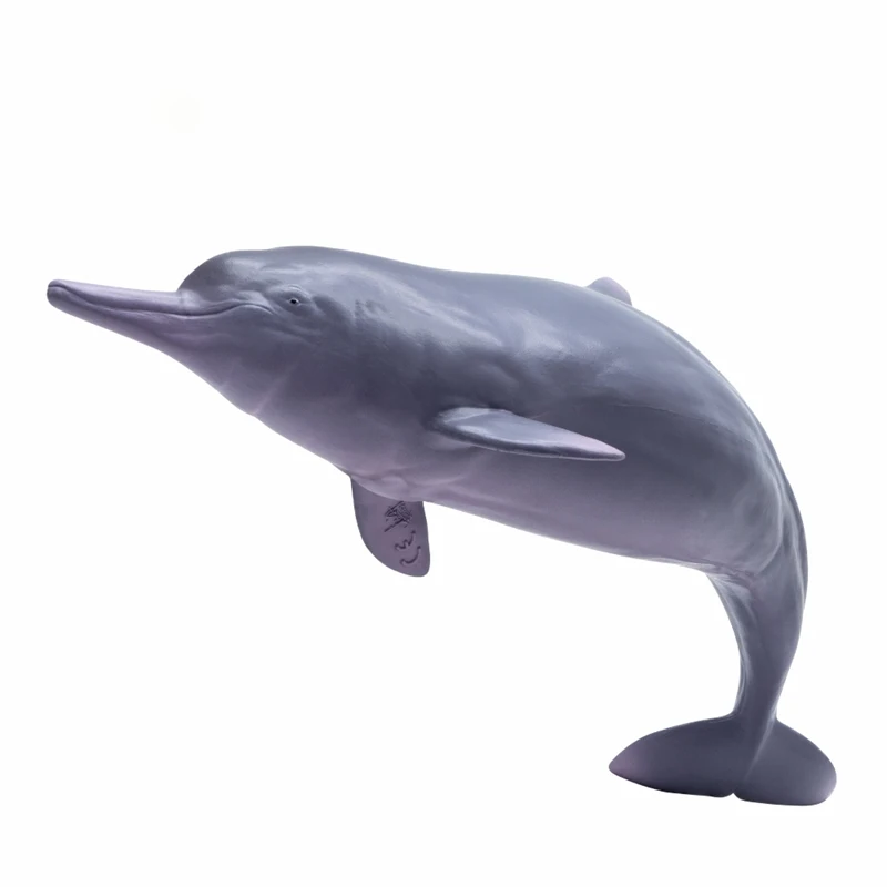 Model 17 Chinese White Dolphin Model Xibao Marine Mammal Animal Figure Collection Realistic Scene Decoration Birthday Gift