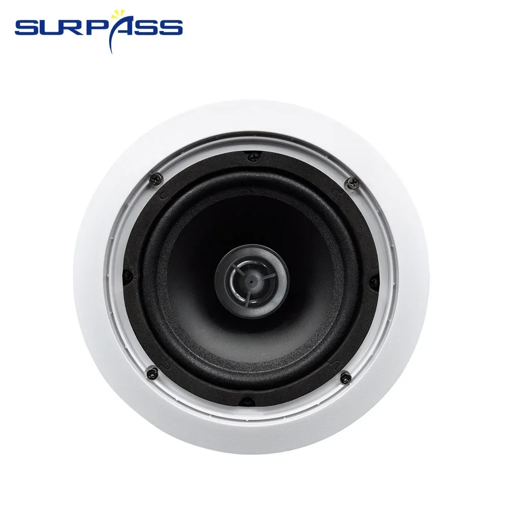 6 بوصة 30 واط 2 قطعة واي فاي بلوتوث نظام السقف المدمج في الفئة D مضخم رقمي نظام الصوت المنزلي لمكبرات الصوت المسرحية