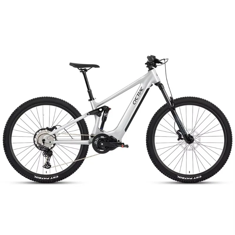 

48V 500W Central Motor 29 27.5 Inch Full Suspension Aluminum Frame Customizable E MTB Electric Mountain Bicycle