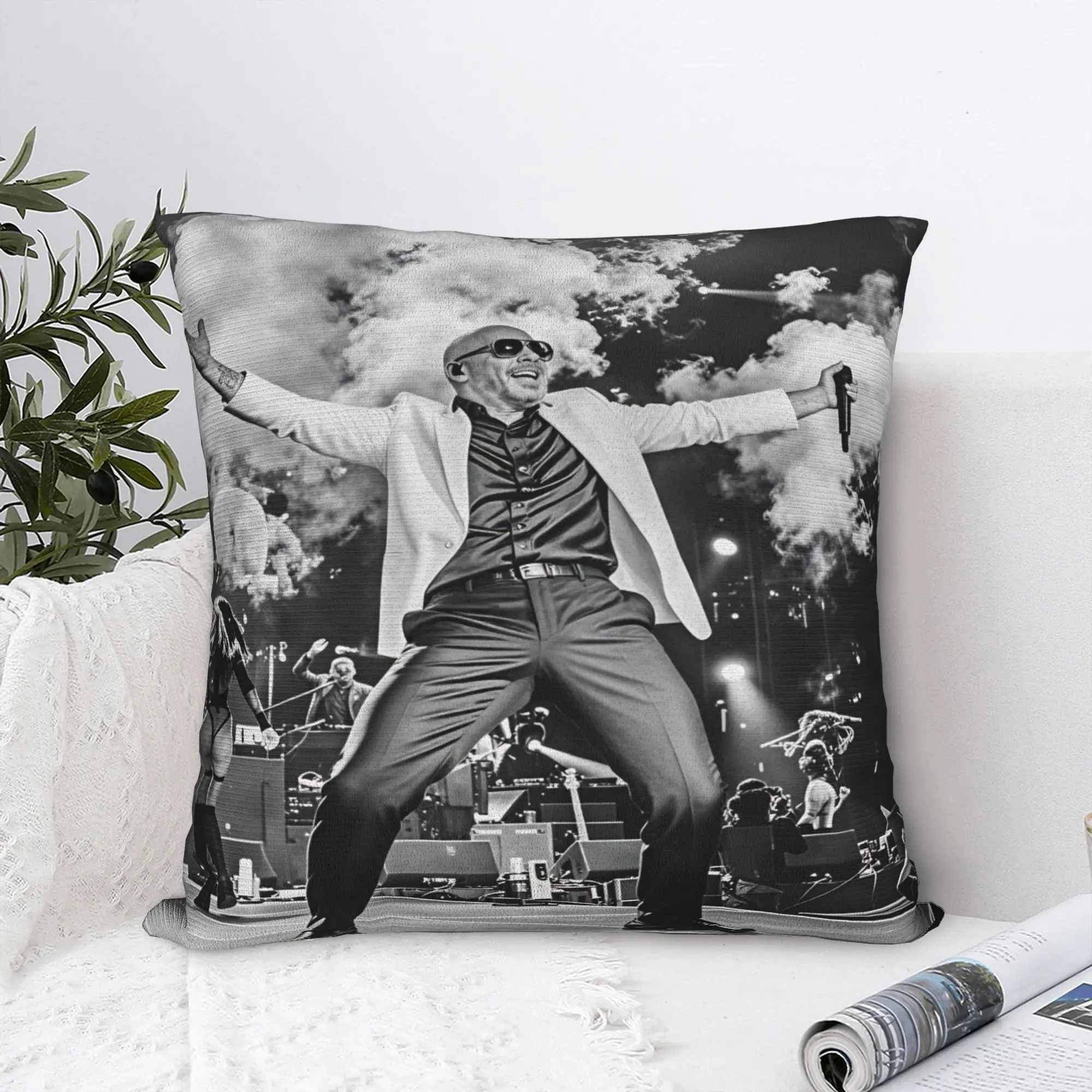 Pitbull Mr Worldwide Tour Pillow Case  Comfy Pillow Cover Retro Trendy Pillowcases For Chair Sofa Home Decor