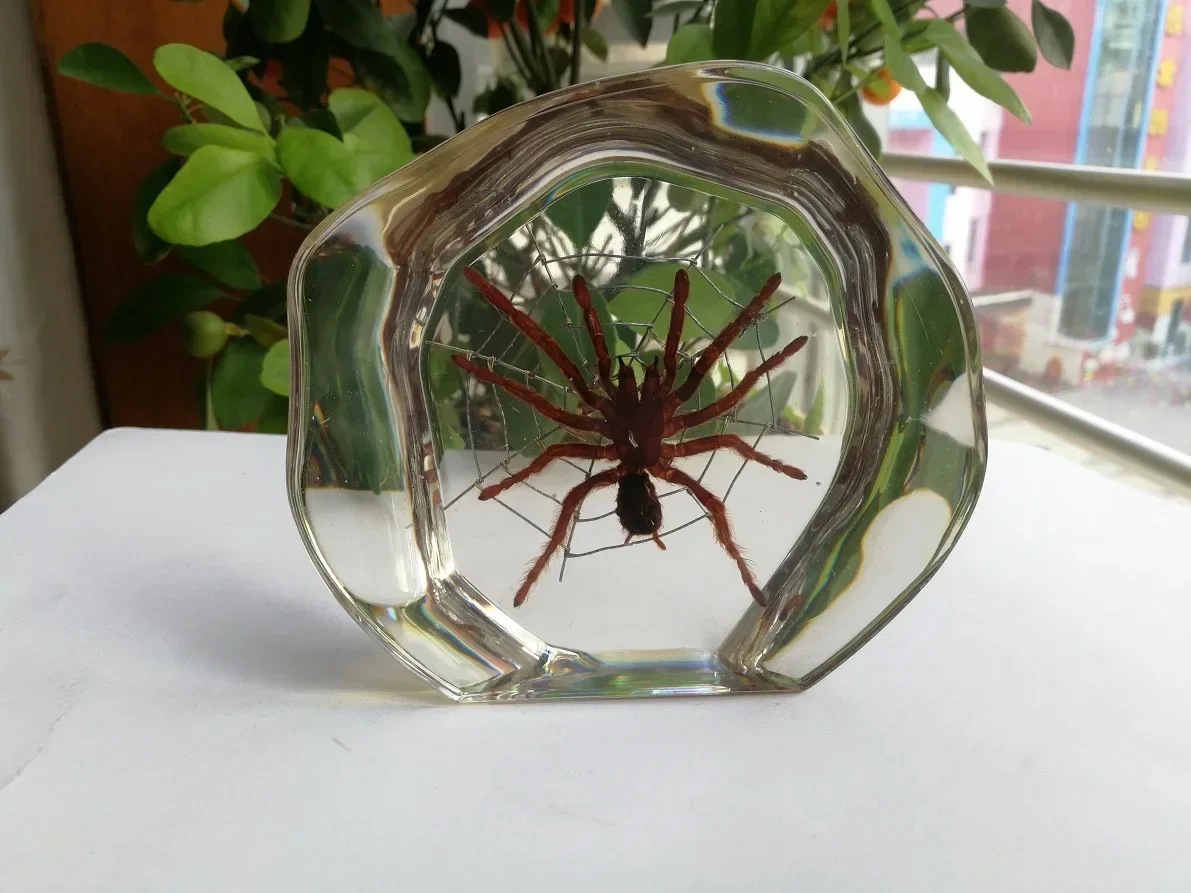 Teaching True Small Animals Spider Resin True Insect Bird-catching Spider Garden Butterfly Bat Scorpion 8pcs Home Decor