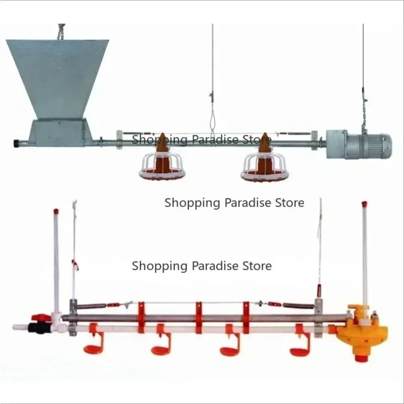 

Fully Automatic Poultry Farm Equipment Automatic Chicken House Drinking And Feeding System Broiler Auto Feed Line System