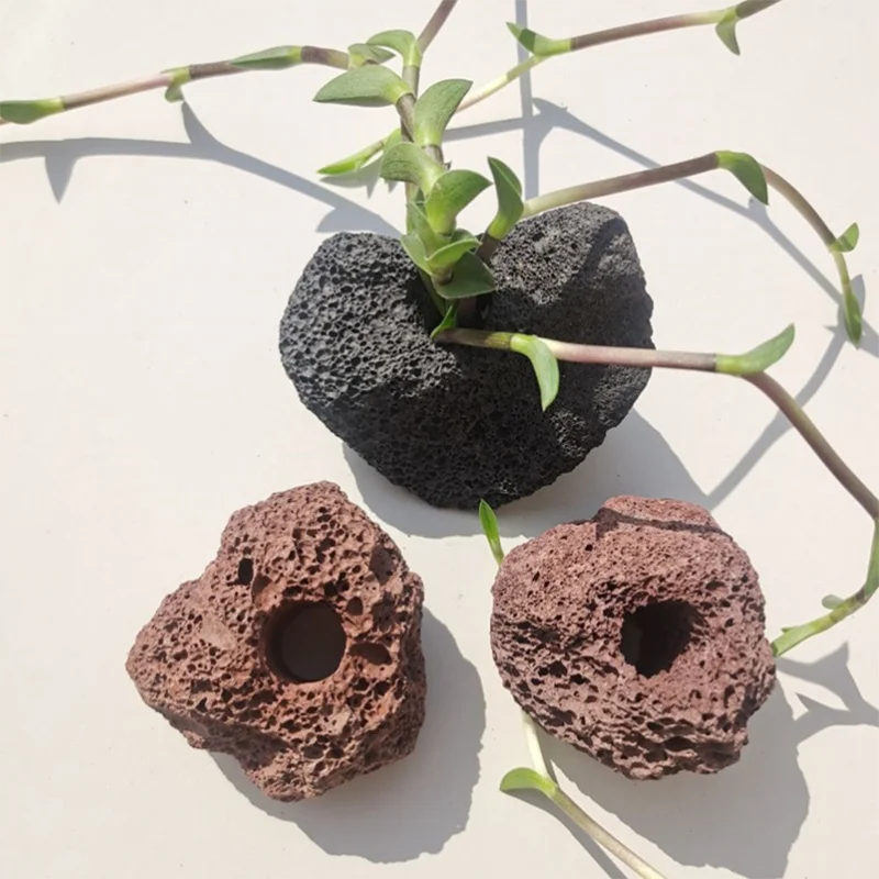Decoración de acuario volcánico, maceta de fijación de plantas de pecera, taza de plantación en maceta, accesorios de Acuario, filtro negro