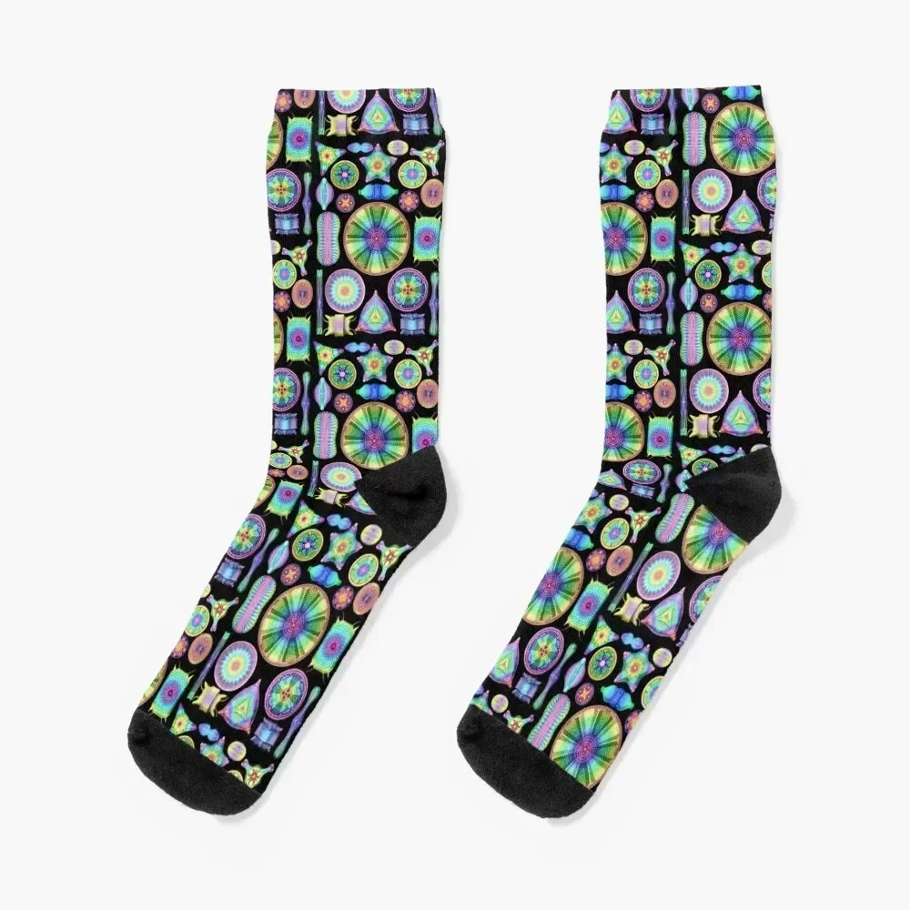 

Ernst Haeckel Rainbow Diatoms on Black Socks luxury hiking Men's designer Boy Child Socks Women's