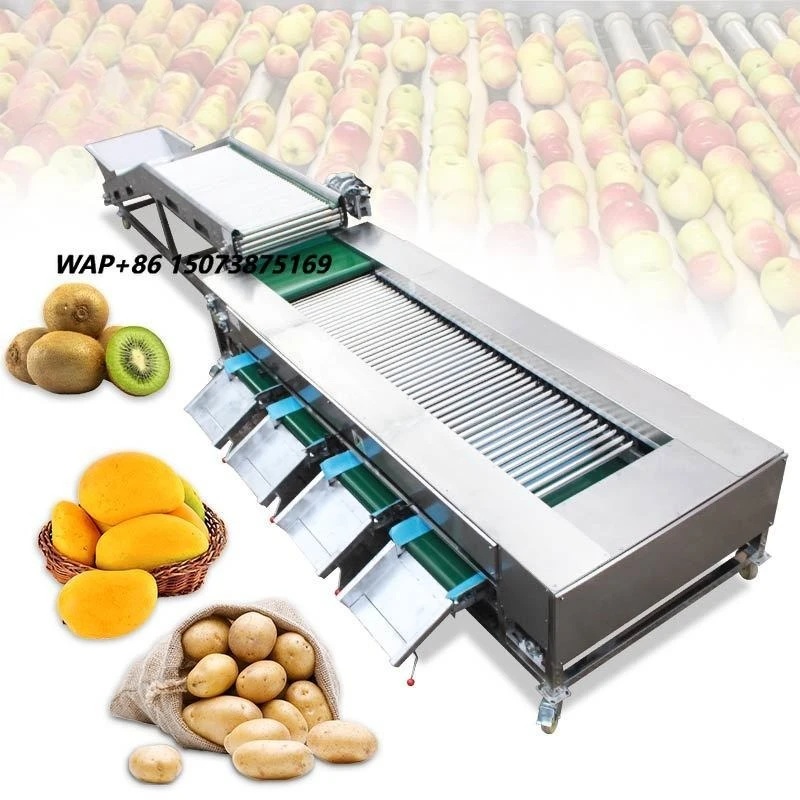 Avocado Grading Potato Tomato Orange Sorting Wash Fruit Size Sorter Grader and Clean Machine for Roller