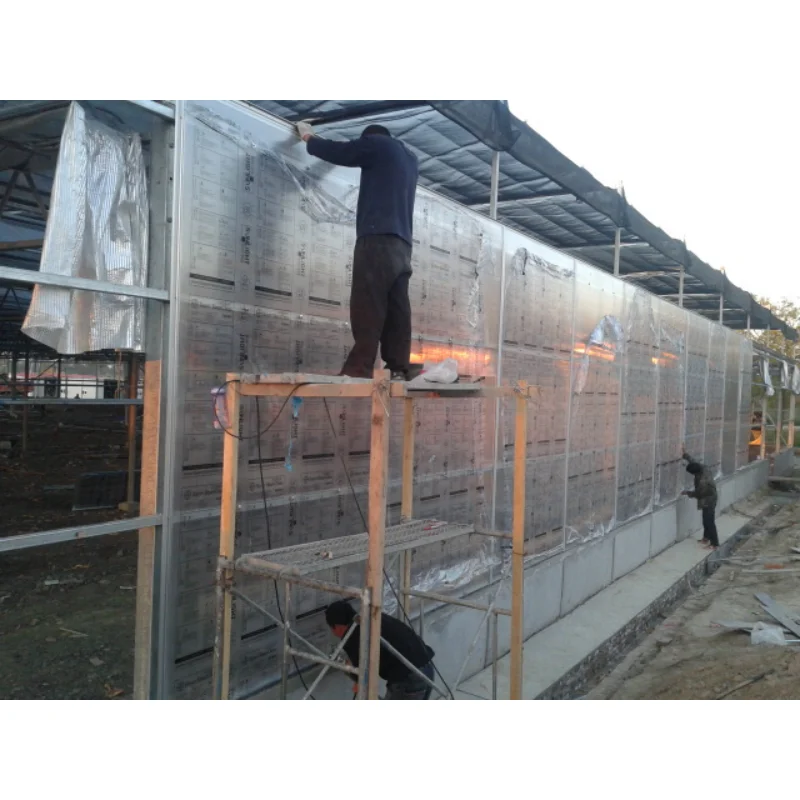 

Customized greenhouseSunshine Board Greenhouse Solar Panel Sheets PC Hollow Sheets Virgin Clear Polycarbonate Hollow Sheet for G