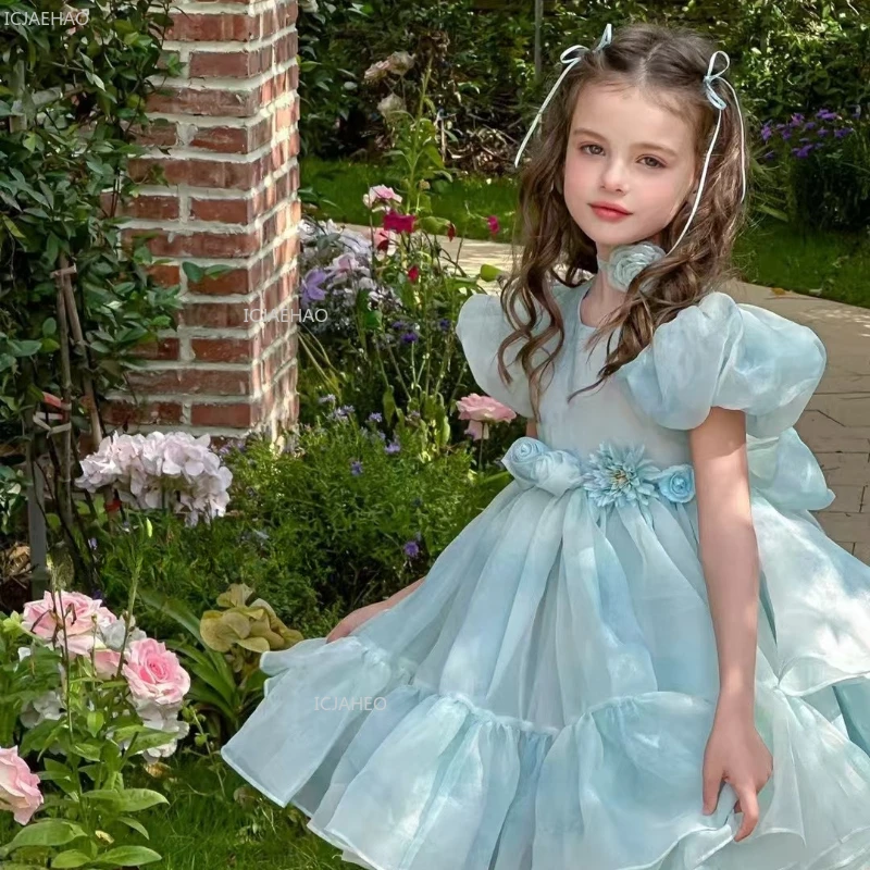 Flower Girl Wedding Dress Kids Girls Tulle Princess Gown with Puffy Party Pageant Formal Dresses Sleeves for Children Birthday