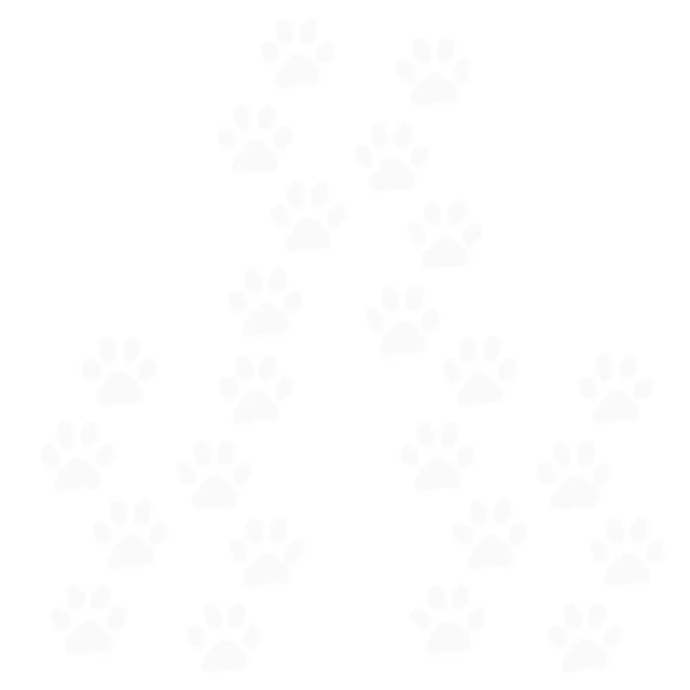 24Pcs Cat Footprint…