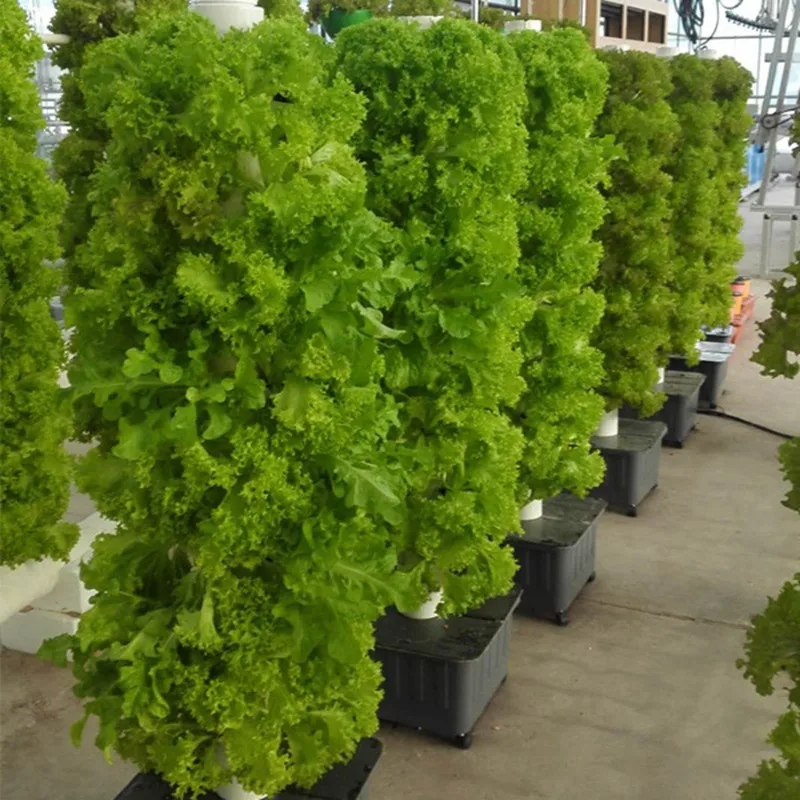 User inières de Légumes et Fleurs pour délégations, Tour Hydroponique Verticale, Pot Agricole d'Nik, Ananas, Jardin, Maison, Nouveau