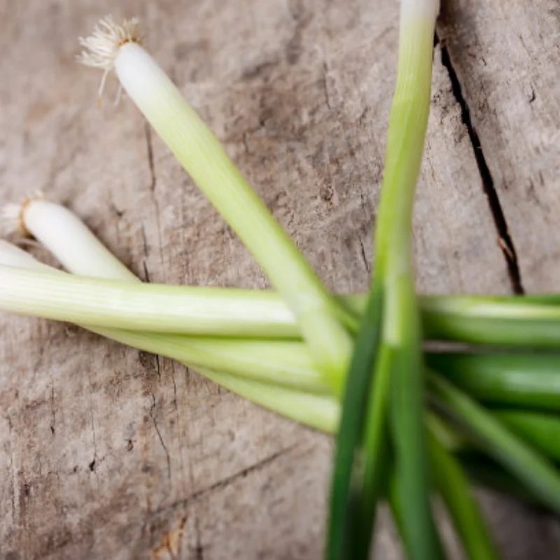 70mm 64mm 50mm 브러시리스 모터 EDF 덕트 팬 40A 50A 80A ESC 2-7S 콤보 RC 제트 비행기 EDF 비행기용