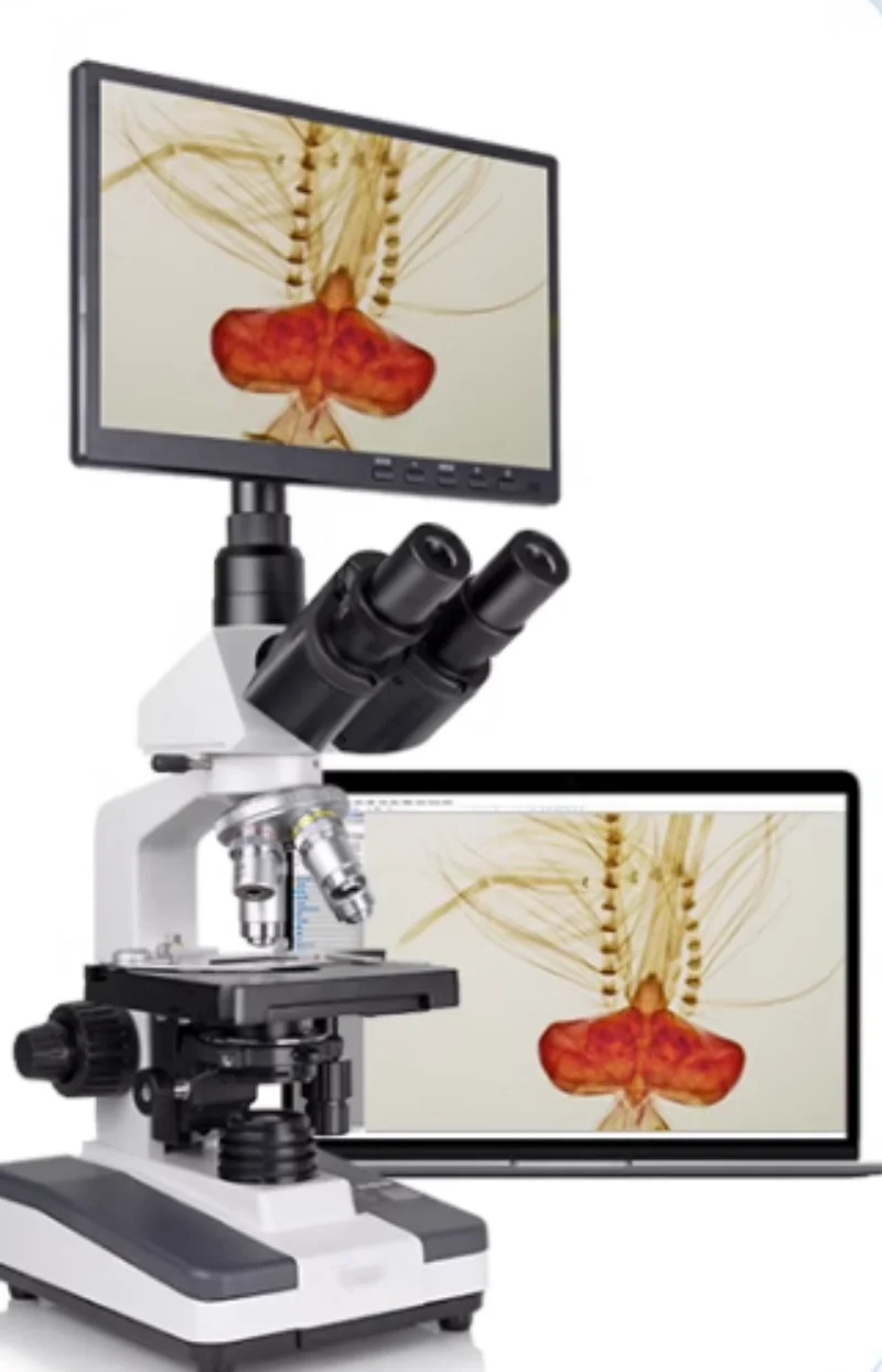 Biomicroscope,UBM,OLYMPUS,  Biological microscope HD 1600x display screen, school experiment,HD cell and bacterial observation