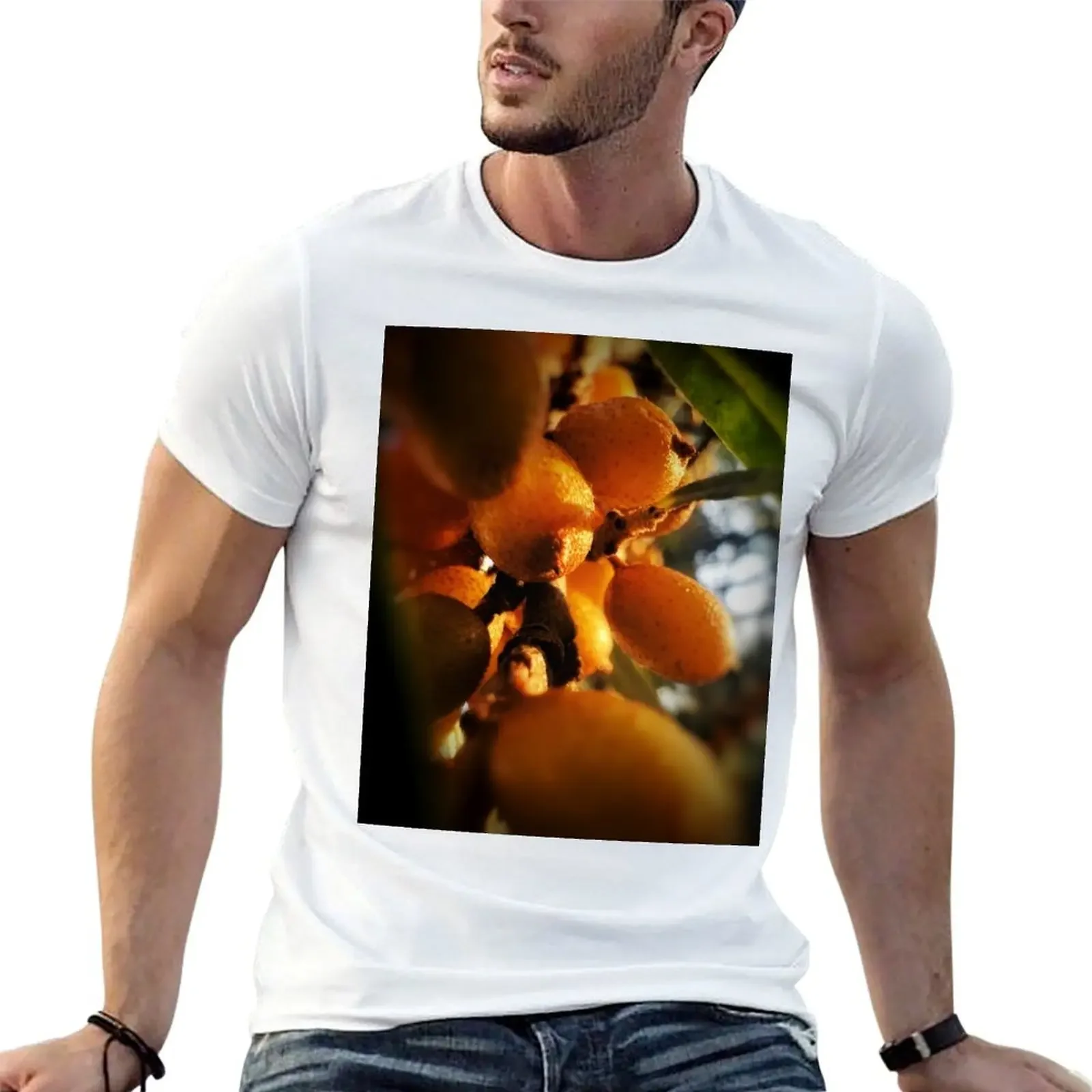 Buckthorn in the August evening sun T-Shirt cheap stuff street wear customs design your own vintage t shirt men