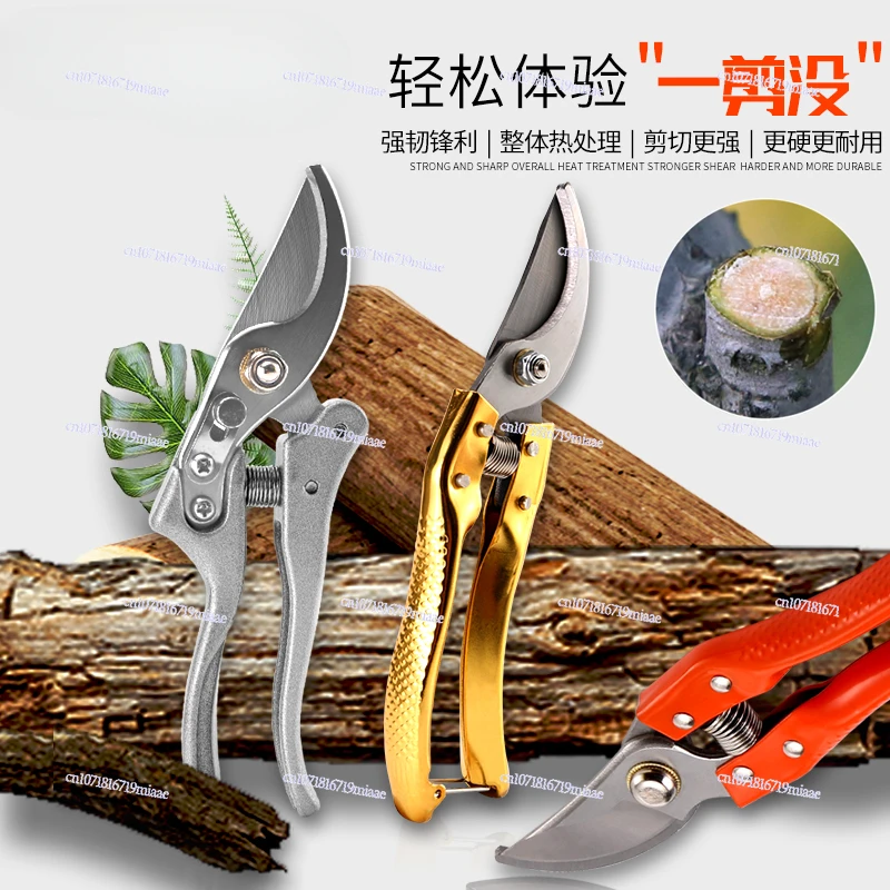 Gardening Scissors Landscaping Tools Flower Scissors Branches Fruit Tree Scissors Trimming Trimming Flowers Small Plants