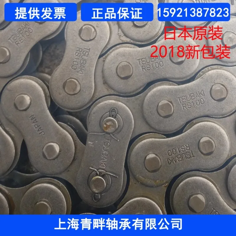 Chain RS100-2-RP RS100-2-CP 20A-2-96L Double Row