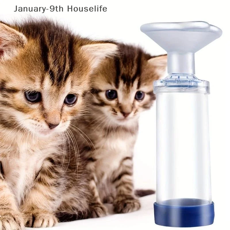 Chambre d'aérosol pour chat, inhalateur Portable pour chien et animal de compagnie, inhalateur portatif pour équipement vétérinaire, clinique vétérinaire, fournitures pour animaux de compagnie