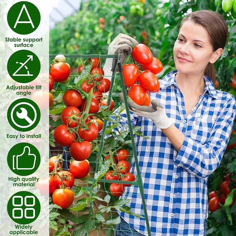 new Grow Supports Fit Climbing Rustproof Vine Cucumber Trellis Tomatoes Grapes Vegetable Plant Climbing Frame Kit xs63-42-fro 4