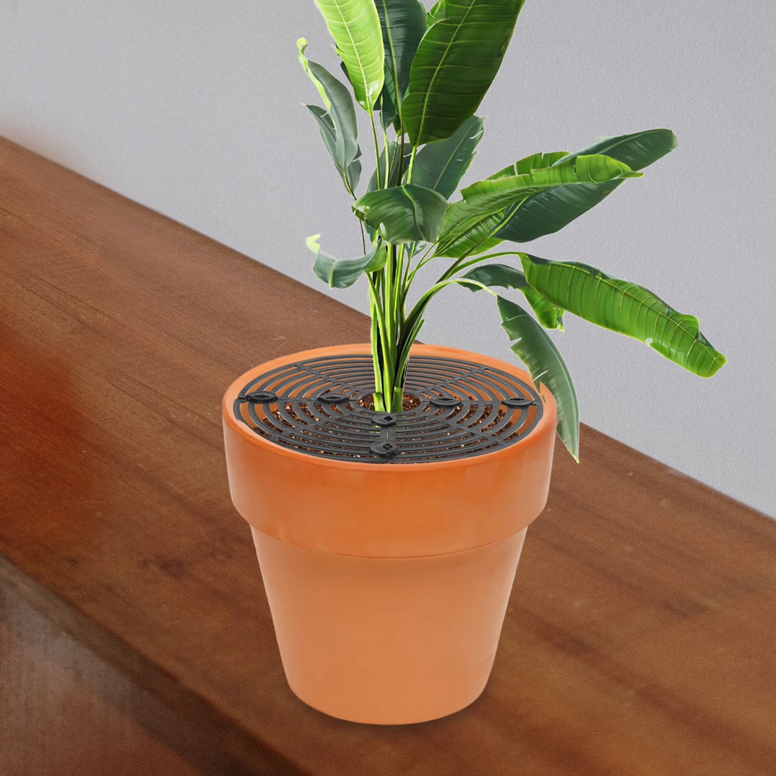 

2pcs Plant Pot Grid Cover Flower Pot Soil Protector Indoor Plants Hole Mat Gardening Accessories Lightweight Durable Cat Dog