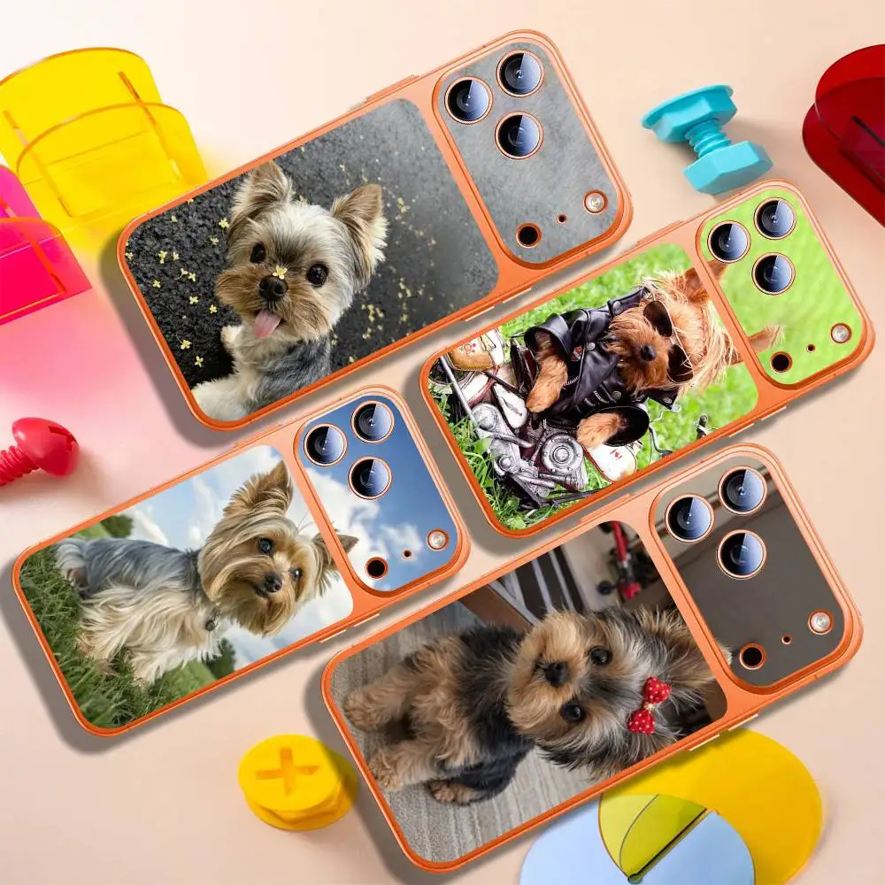 

Yorkshire Terrier Dog For Apple iphone 17pro 17promax Full Back Cover Decal Wrap Skin Colorful Rear Protective Sticker Film