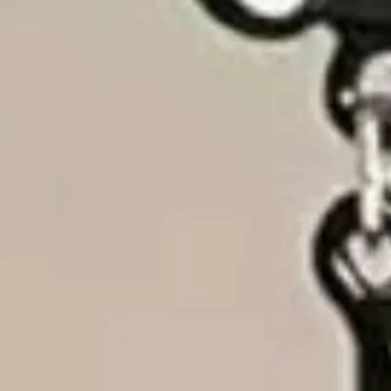 Exquisite Simple Black Cat Earrings Cute Light Luxury Black Cat Ear Studs Temperament Sweet Cartoon Earrings Spring Summer