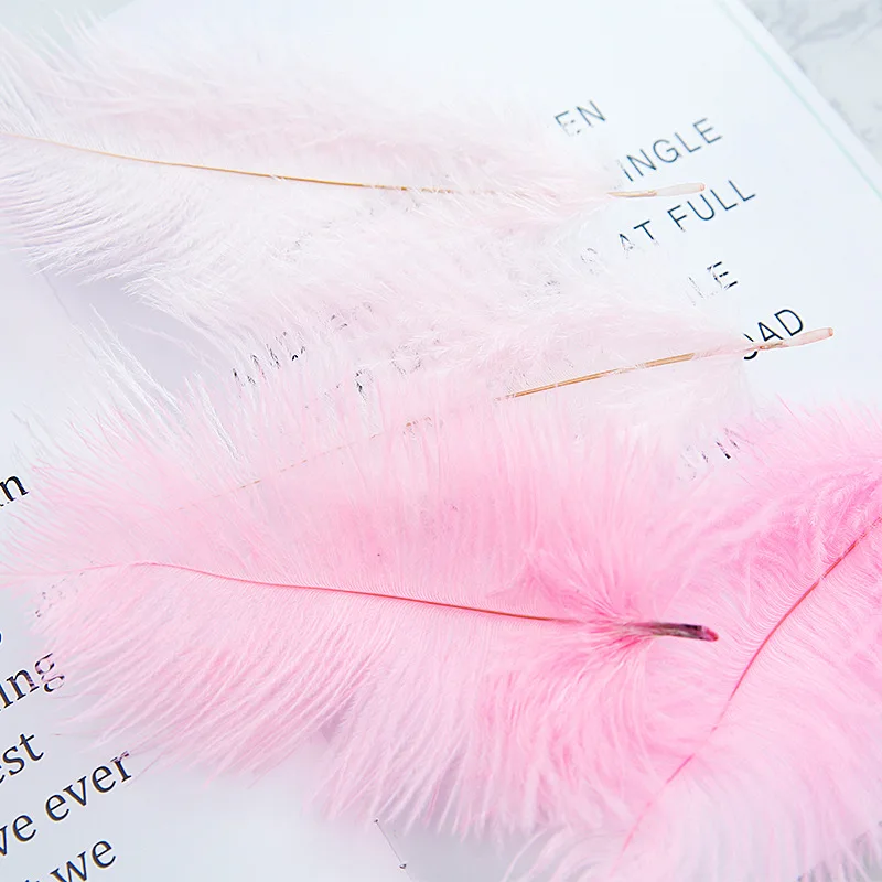 INS Ostrich Feathers Photo Props  Ornaments Manicures Cosmetic Accessories Photography Background Decorations Studio Fotografia