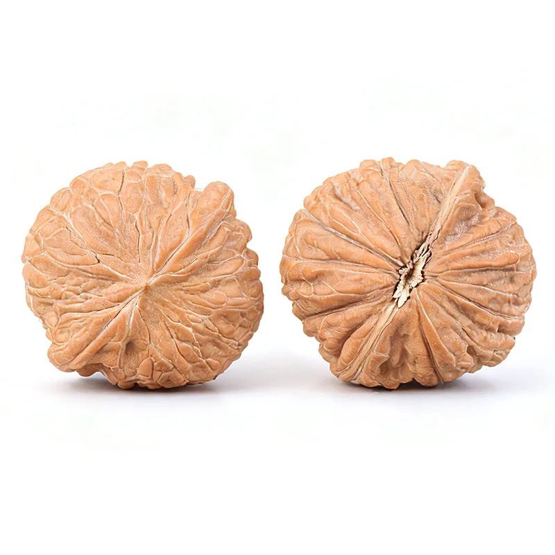 Premium Collectible Tiechui Meimei Wenwan Walnuts Hand Polished Mountain Grown 50 Year Old Tree Perfect Shape Stress Relief Gift