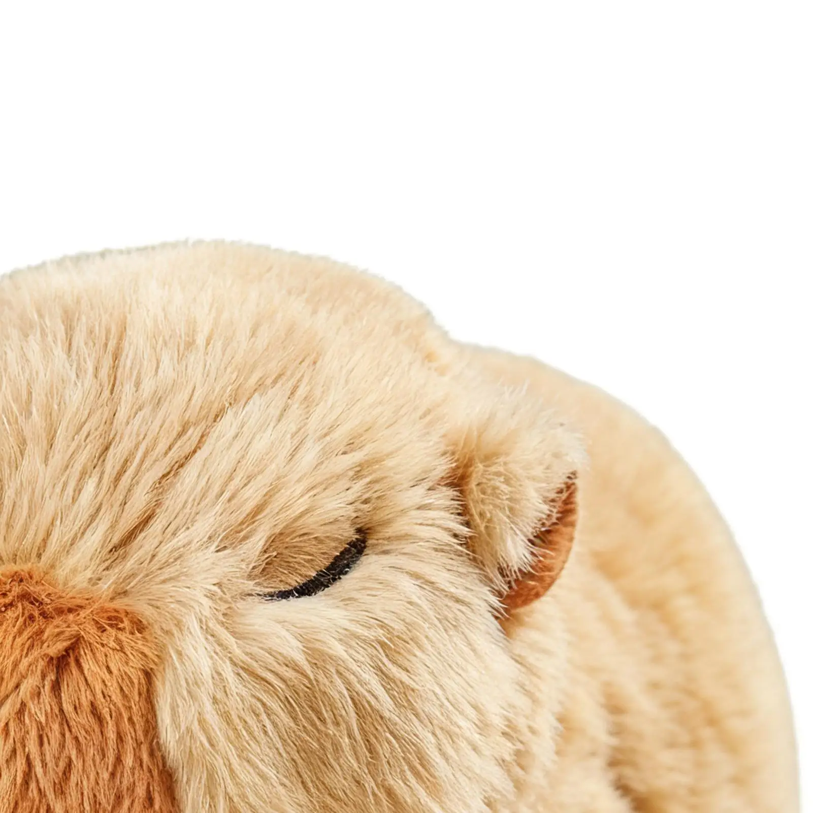 Electric Walking Capybara Interactive Pretend Play Walking Capybara Electronic Toy Pet for Kids Boys Girls Preschoolers Children