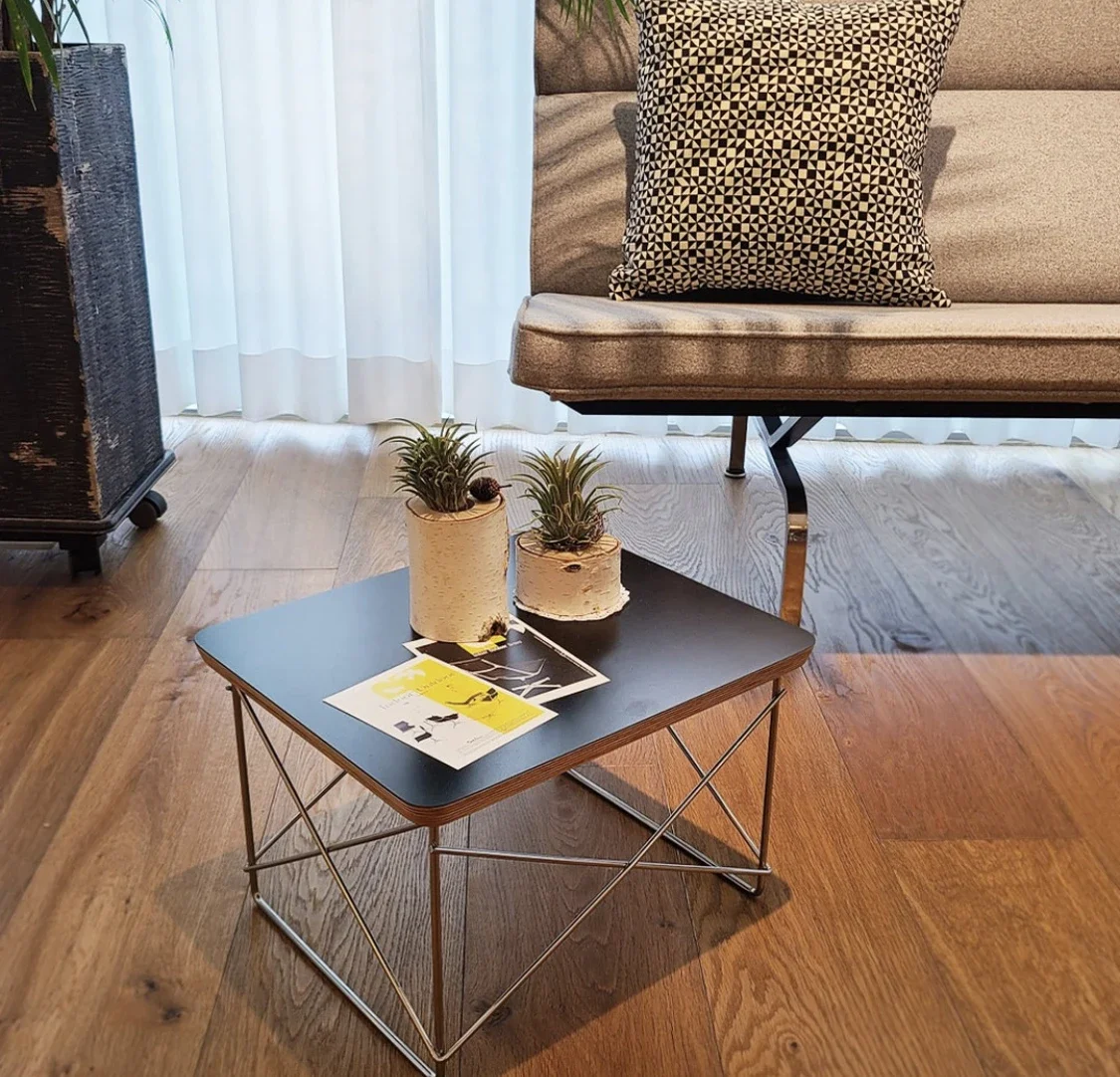 Small Sidetable LTR Low Table Plywood Rectangle Top Stainless Steel Frame Small Home Decoration Wire Base Table