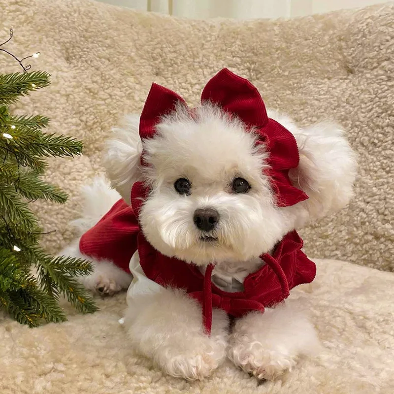 Christmas Dog Dress Pet Clothes Cat Red Pink Suit With White Shirt  Warm New Year Clothing for Cats French Bulldog Party Dress