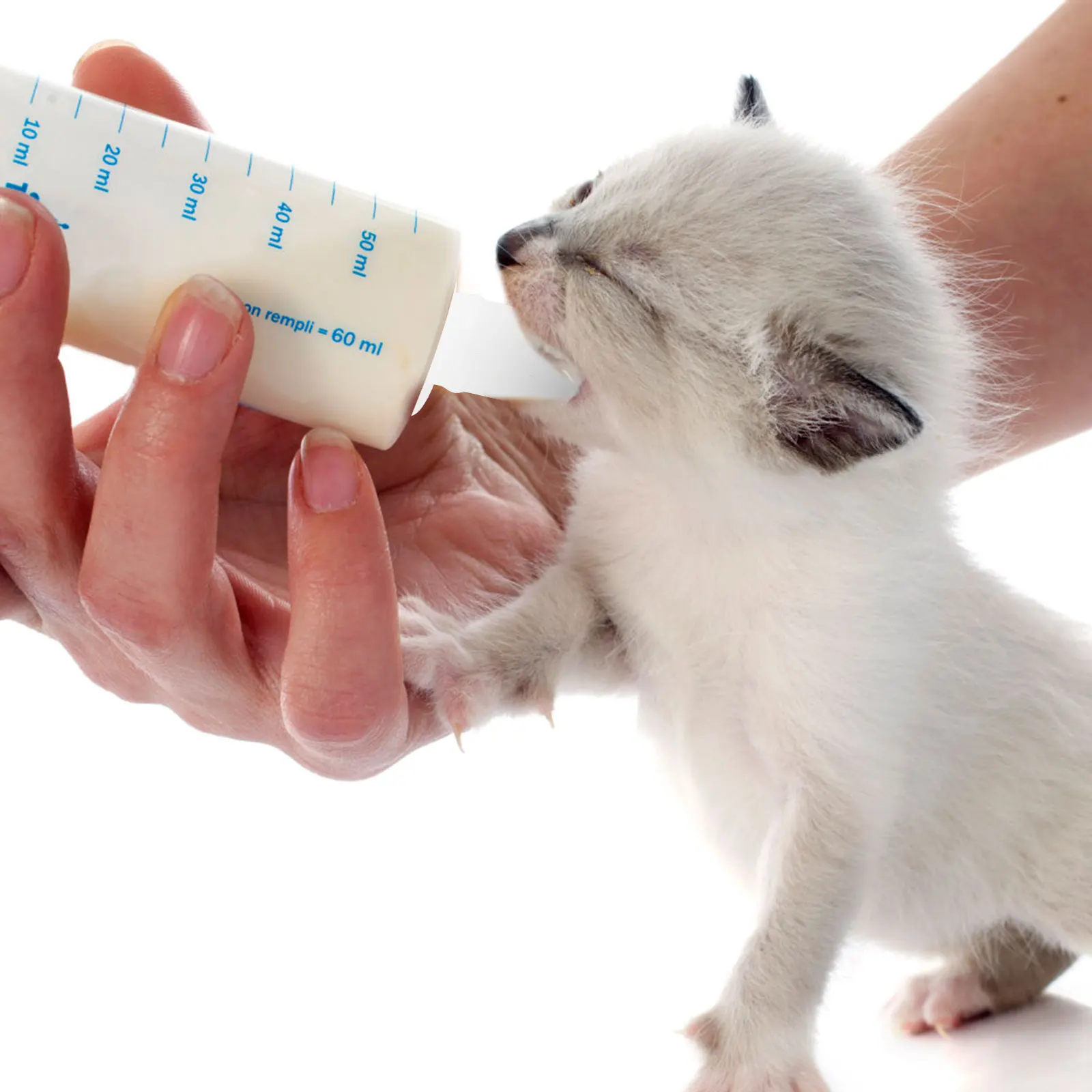 

Puppy Pet Bottle Feeding Milk Bottles Pacifier Newborn Kitten Nipples for Mother Dog