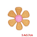 PE8891CT