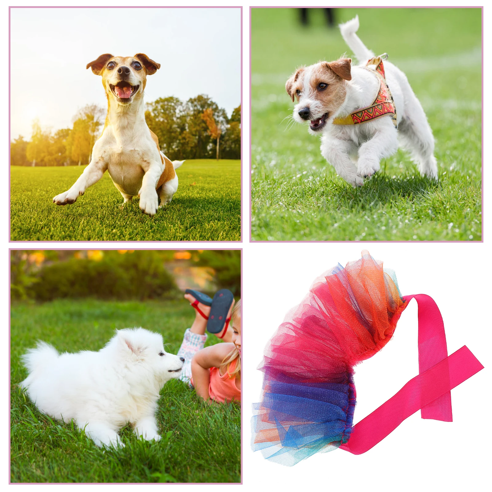 

Rainbow Pet Collar Colorful Tutu Dress Small Puppy Clothes Girl Dog Dress S Size Thin Gauze Breathable Dog Costume