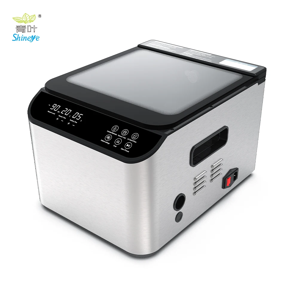 Compact Chamber Vacuum Packer for Wet Foods and Meat Professional Automatic Sealing Machine with Sealing Bar for Shop 110V 220V