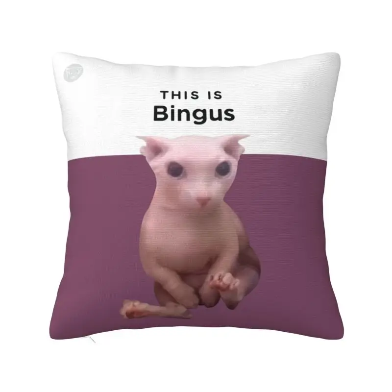 Custom This Is Bingus Cushion Cover Kawaii Sphynx Cat Velvet Cute Throw Pillow Case Home Decor