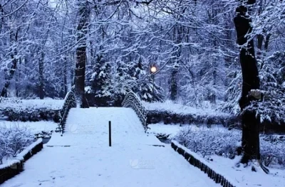 Metal Rear Cup For …