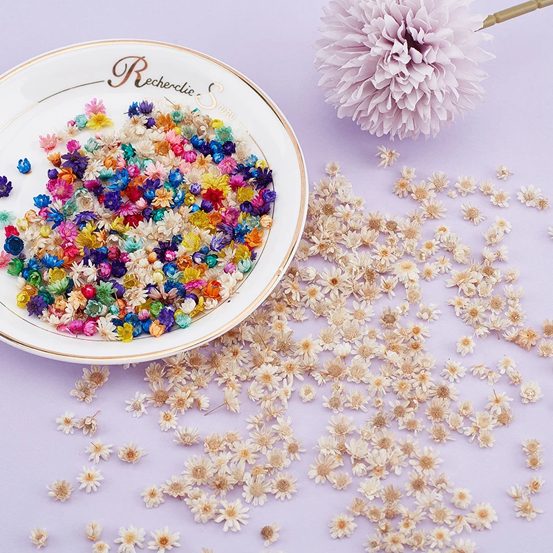 60/200pcs Real Dried Flowers For Diy Art Craft Epoxy Resin Candle Making Jewellery Home Party Decorative Dry Press Flowers