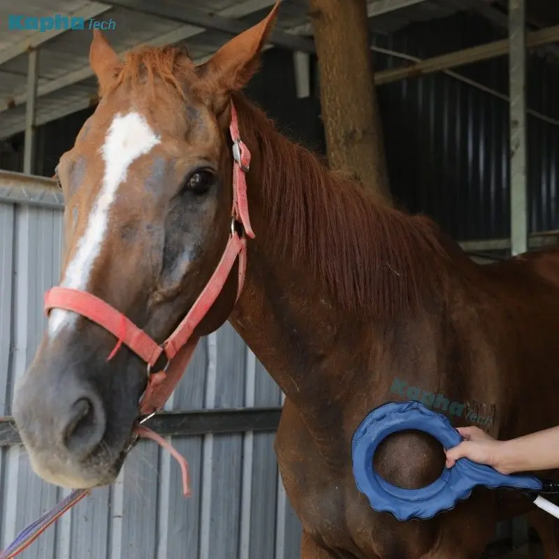 PEMF Equine Loop PMST untuk mesin terapi fisik penenang kinerja kuda