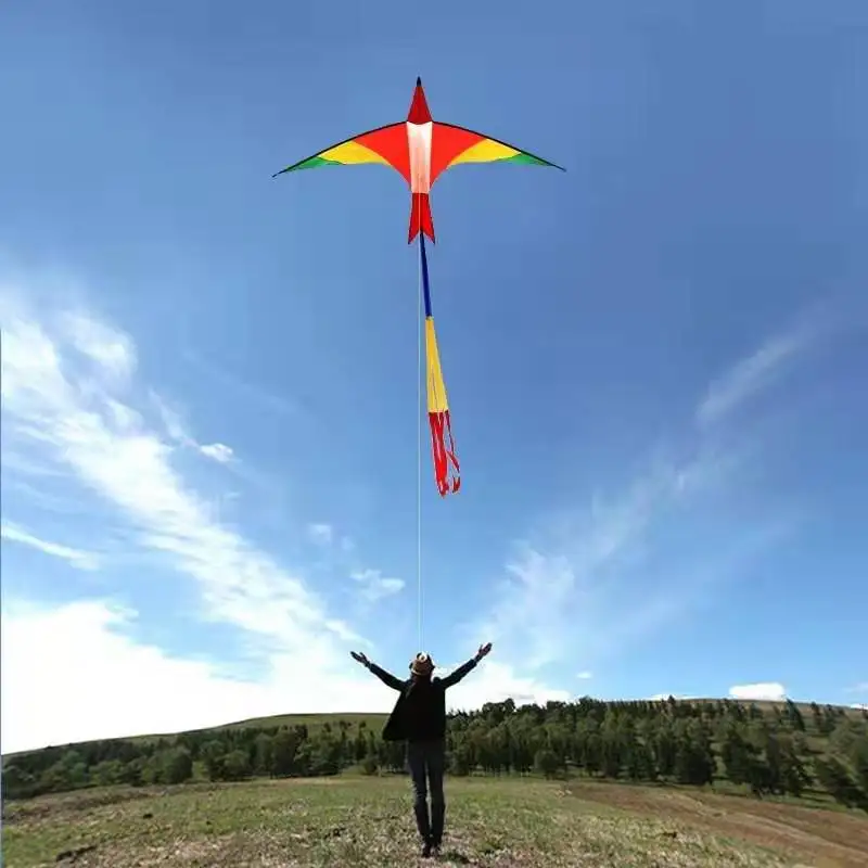 

free shipping 3m swiss firebird Kite flying outdoor toys set handle kites tails windsurfing Sports play large kite giant kite