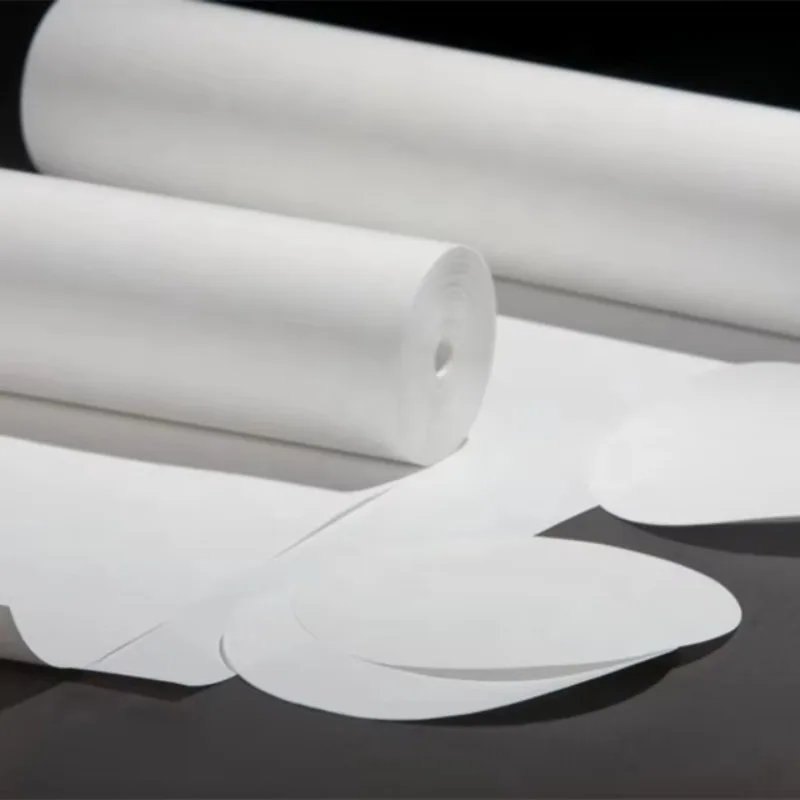 Roll Type Porous PTFE Roll Membrane 0.2 Micron