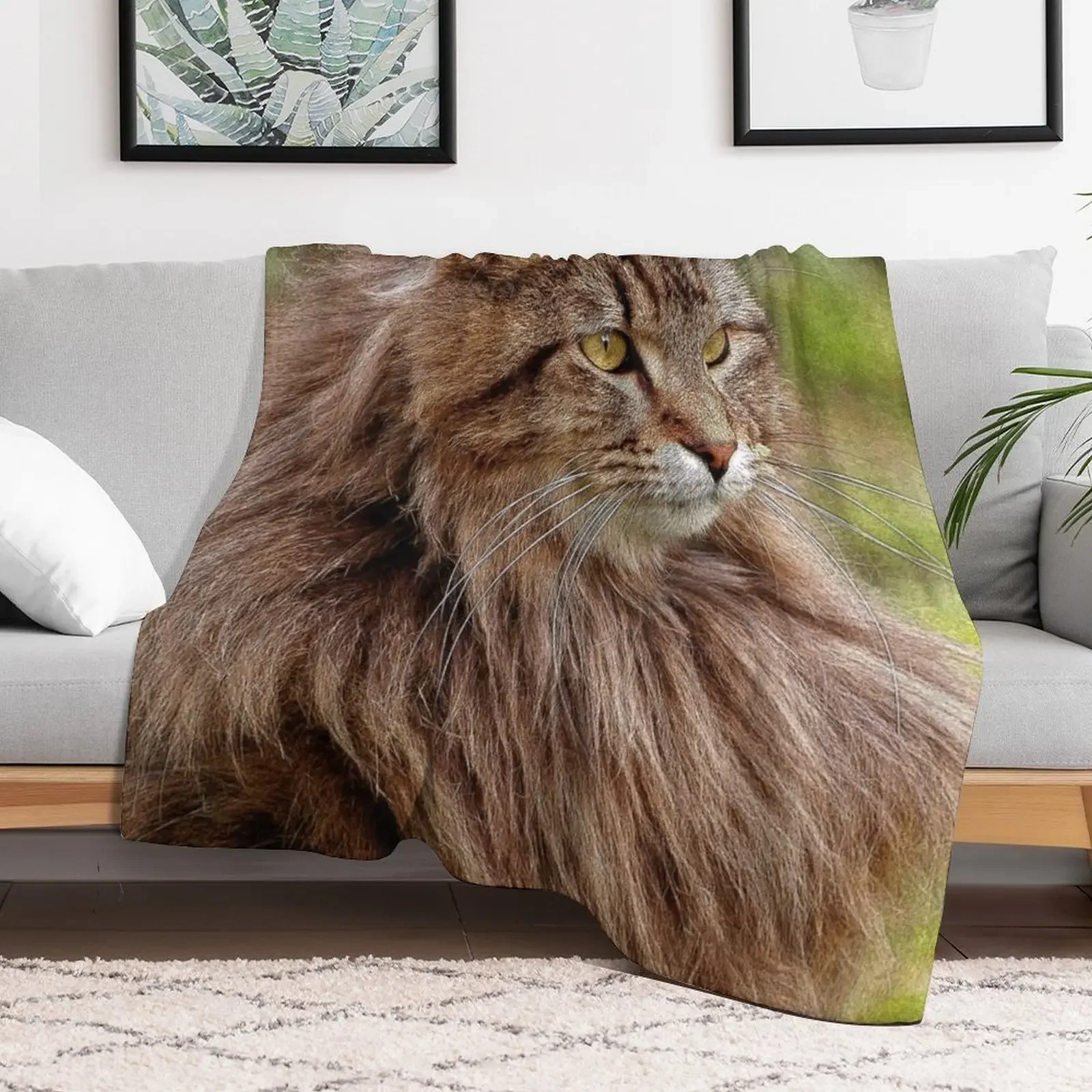 Maine Coon Cat Artwork Throw Blanket Plaid Furrys Blankets