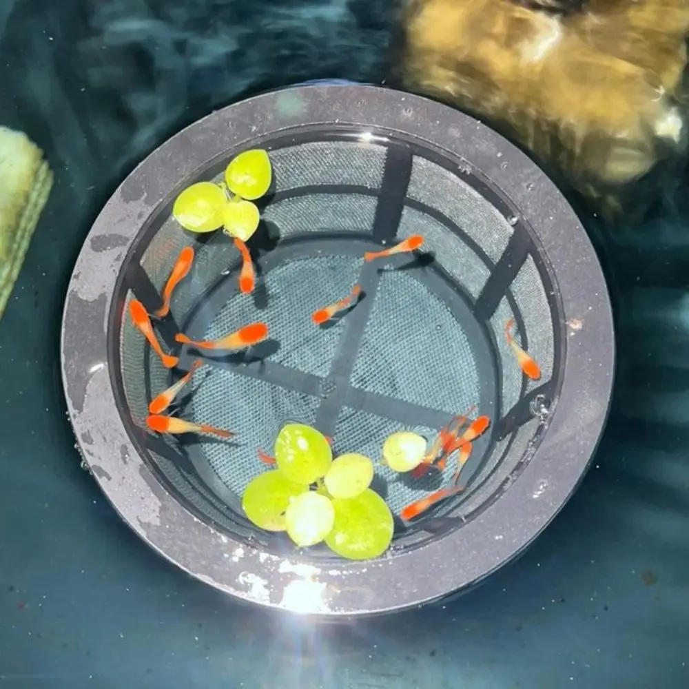 Large Capacity Fish Fry Cage Reusable Mesh Fish Fry Isolation Box Aquarium Filters