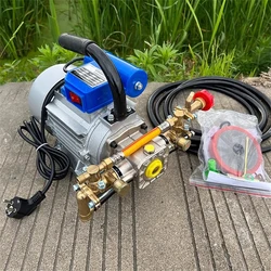 Electric Sprayer Household Four-stroke Dual Cylinder Spraying Pump Agricultural Portable Pesticide Spraying Machine 220V 1100W