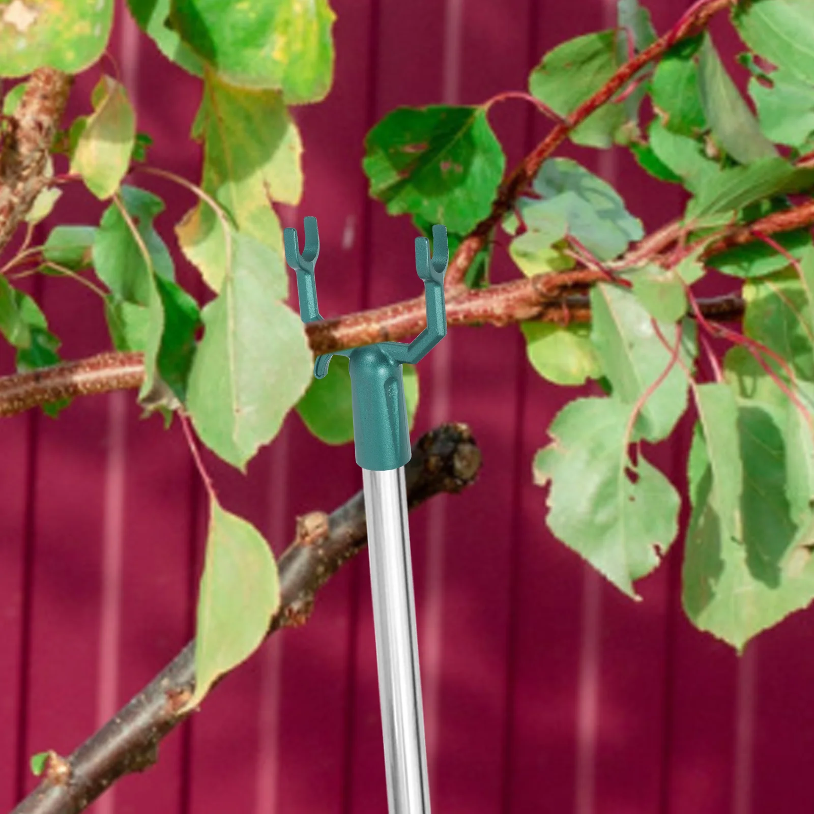 4 PCS 분기 지원 키트 헤비 듀티 트리 스테이크 과일 금속 포크 알루미늄 합금 스프레더