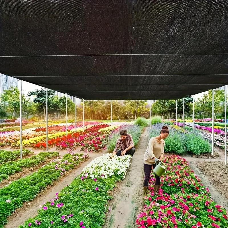 Red de sombreado profesional para invernadero, negra, hecha por proceso de tejer, puede ajustar la intensidad de luz y proteger el plan delicado