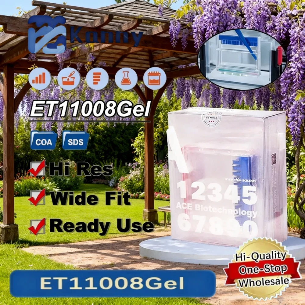 Sds Page Precast Protein Gel For Western Blot Mops Buffer 4 To 20 Percent Gradient 8 To 15 Percent 12 Or 15 Well Separation