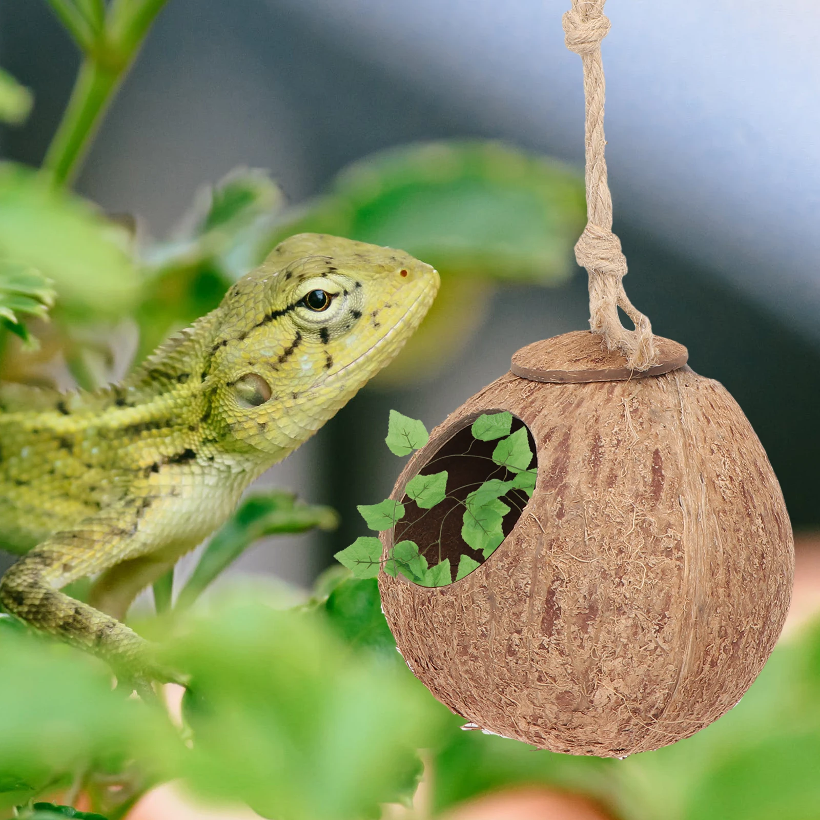 

Leopard Print Coconut Shell Nest Vine Set Baby Hide for Reptiles Artificial Grass Lizard