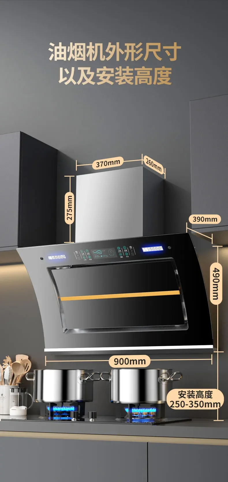 220V Royalstar Range Hood Side Suction Strong Power Dual Motor Wall Mounted Kitchen Extractor